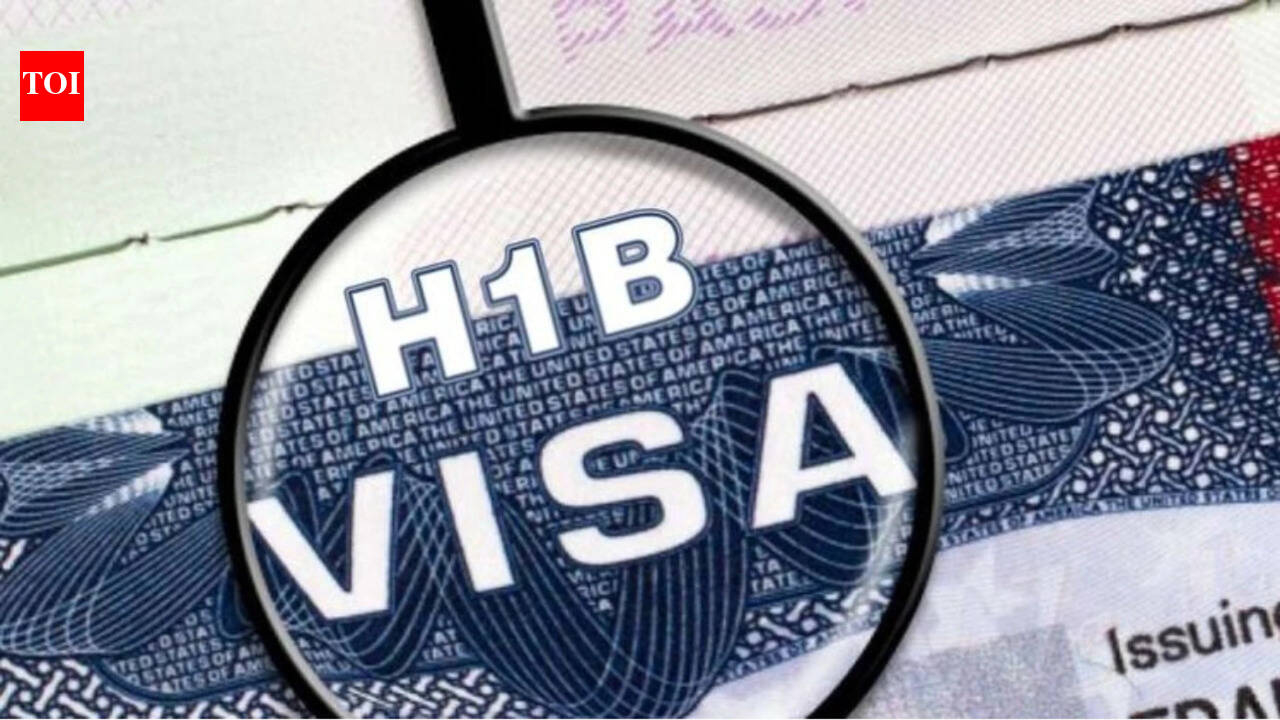 H-1B Visa: 'Not stuck by choice': Indian American explains why H-1B visas are dominated by Indians and Green Cards trap them in temporary status - The Times of India